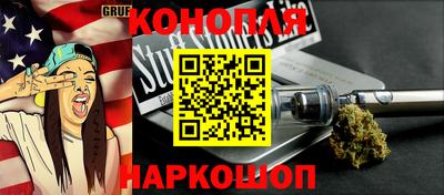 мдпв Новозыбков