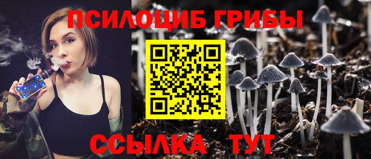 Тихвин  Псилоцибиновые грибы прущие грибы  Вход с VPN 